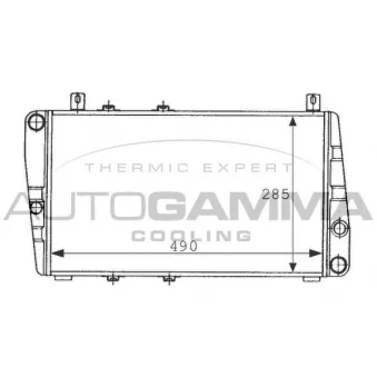 Radiateur, refroidissement du moteur AUTOGAMMA 100967