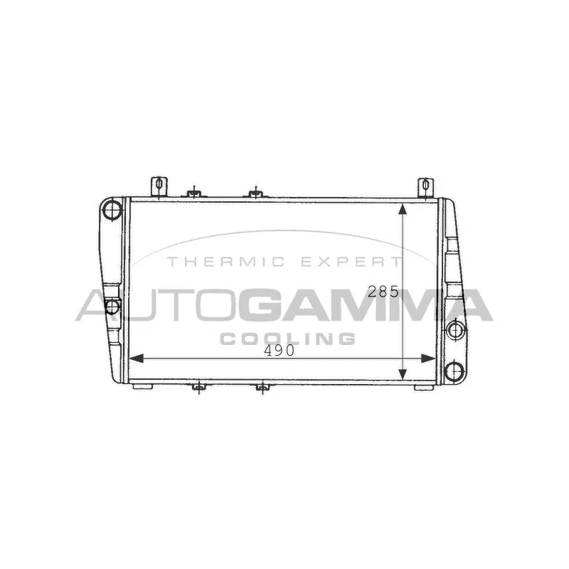 Radiateur, refroidissement du moteur AUTOGAMMA 100967