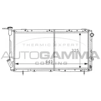 Radiateur, refroidissement du moteur AUTOGAMMA