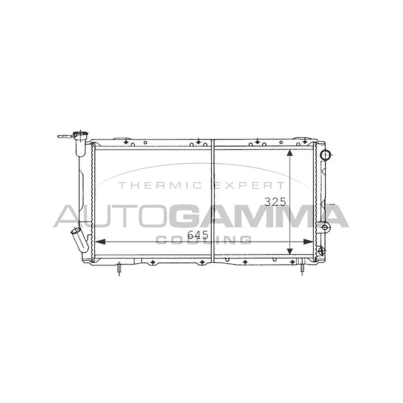 Radiateur, refroidissement du moteur AUTOGAMMA 100971