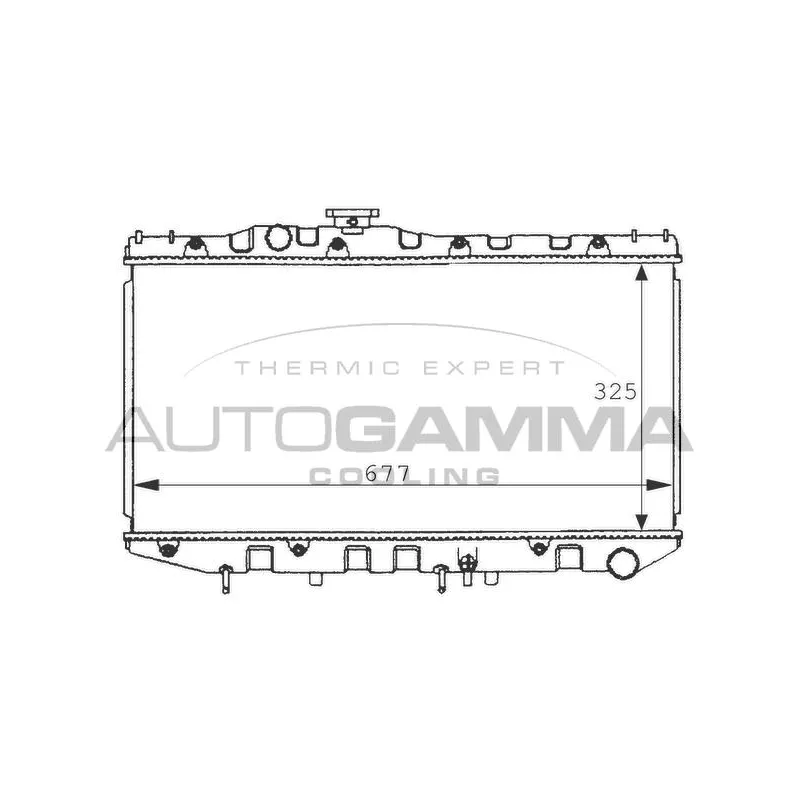 Radiateur, refroidissement du moteur AUTOGAMMA 100990