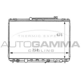 Radiateur, refroidissement du moteur AUTOGAMMA 100992