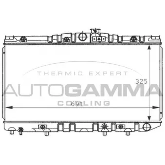 Radiateur, refroidissement du moteur AUTOGAMMA 100993