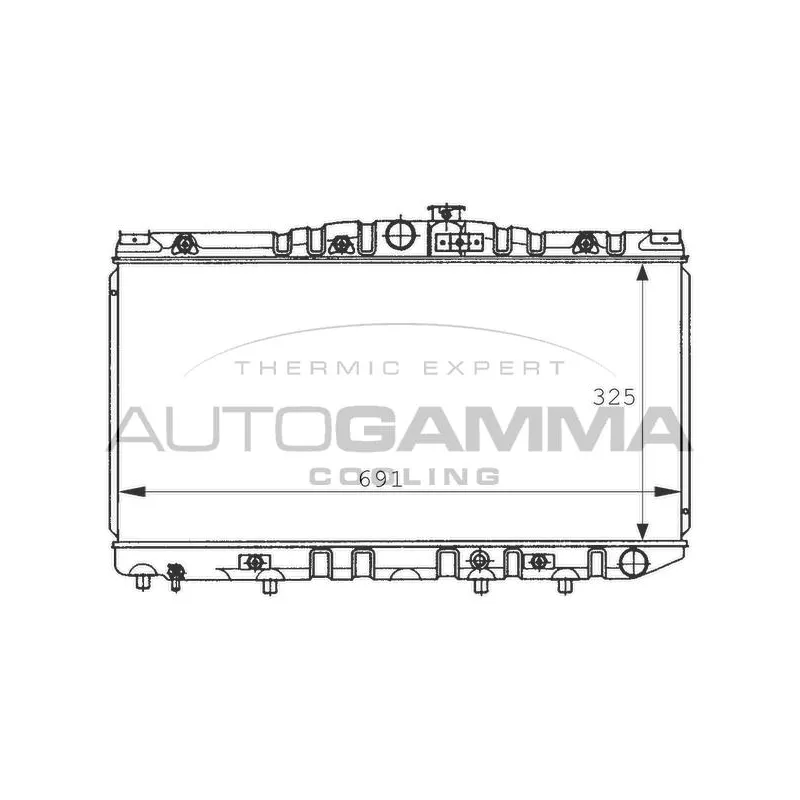 Radiateur, refroidissement du moteur AUTOGAMMA 100993