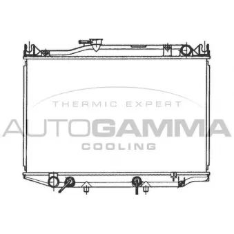Radiateur, refroidissement du moteur AUTOGAMMA