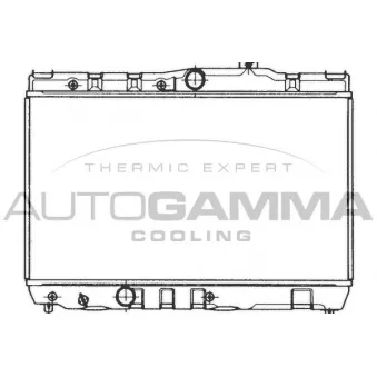 Radiateur, refroidissement du moteur AUTOGAMMA 101002