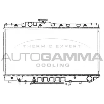 Radiateur, refroidissement du moteur AUTOGAMMA