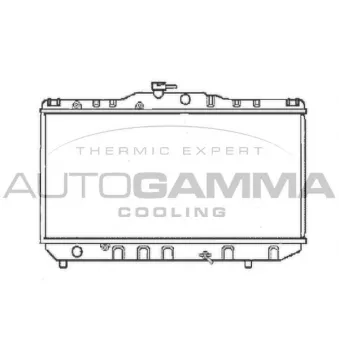 Radiateur, refroidissement du moteur AUTOGAMMA 101016