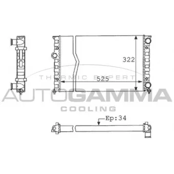 Radiateur, refroidissement du moteur AUTOGAMMA 101058