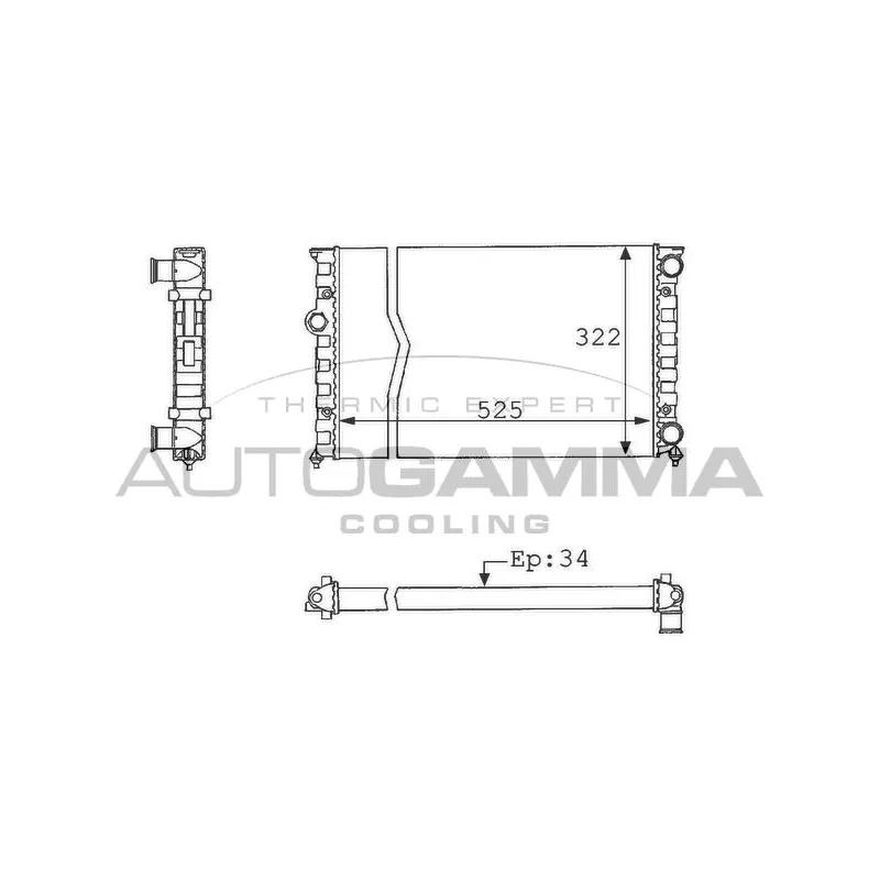 Radiateur, refroidissement du moteur AUTOGAMMA 101058