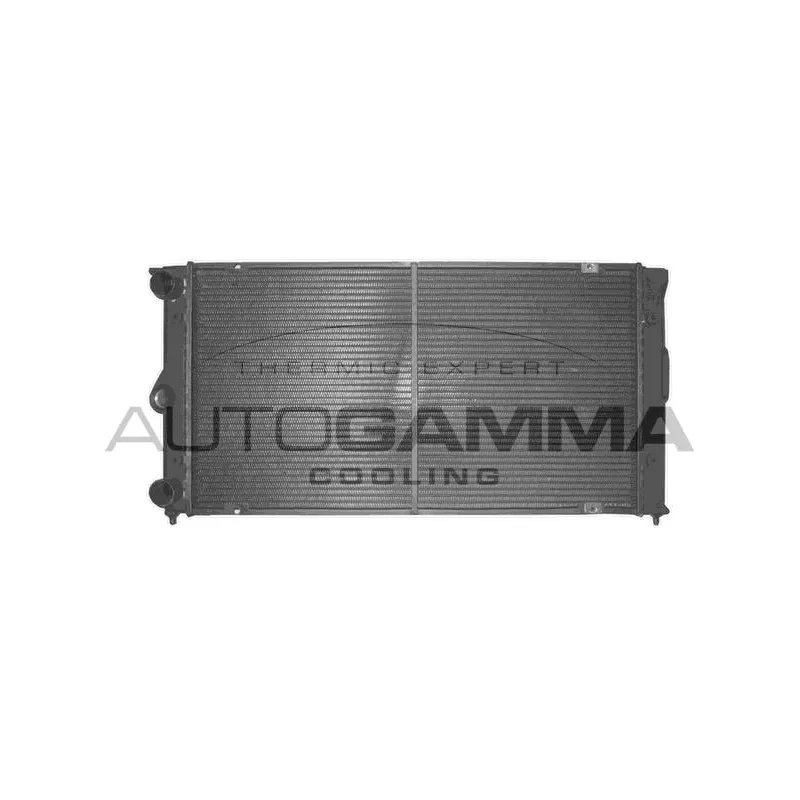 Radiateur, refroidissement du moteur AUTOGAMMA 101067