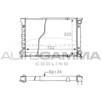 Radiateur, refroidissement du moteur AUTOGAMMA 101073