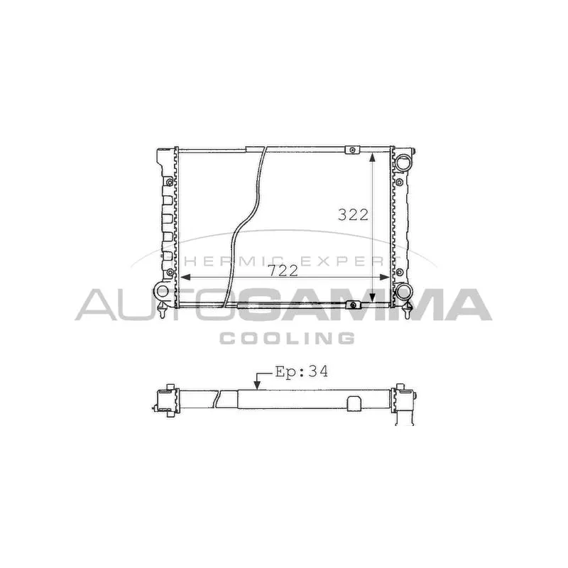 Radiateur, refroidissement du moteur AUTOGAMMA 101073