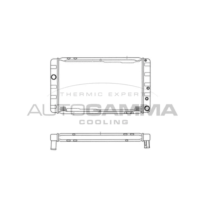 Radiateur, refroidissement du moteur AUTOGAMMA 101102
