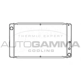 Radiateur, refroidissement du moteur AUTOGAMMA 101103