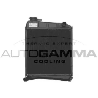 Radiateur, refroidissement du moteur AUTOGAMMA 101117