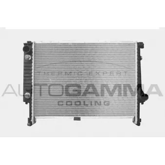 Radiateur, refroidissement du moteur AUTOGAMMA 101124