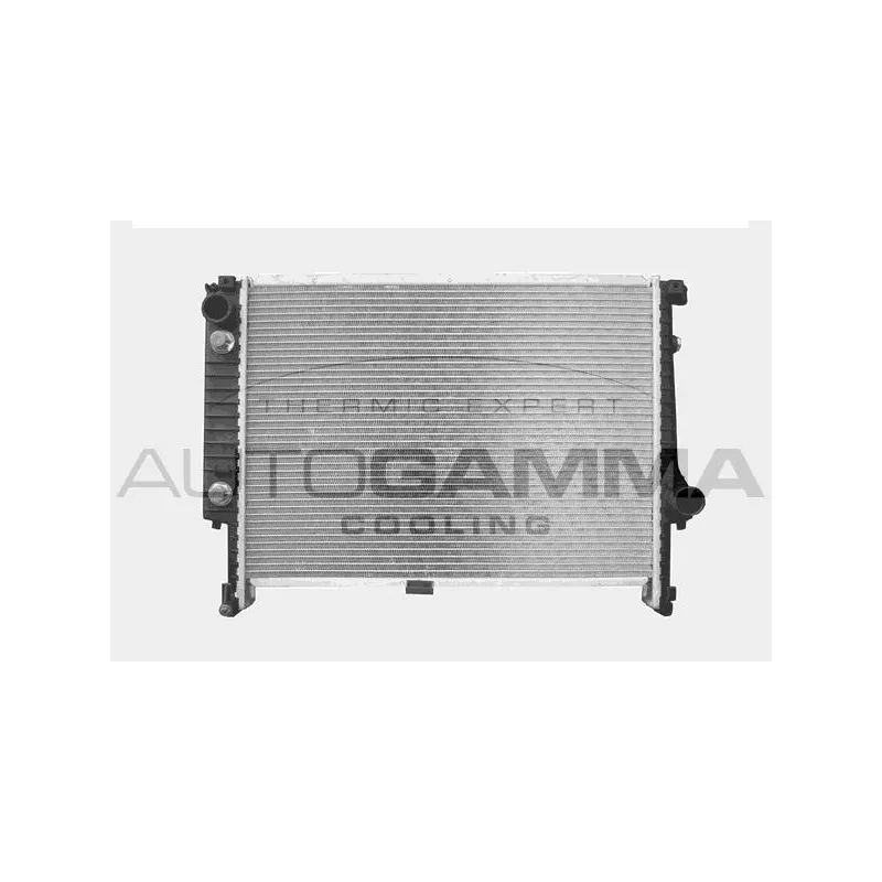 Radiateur, refroidissement du moteur AUTOGAMMA 101124