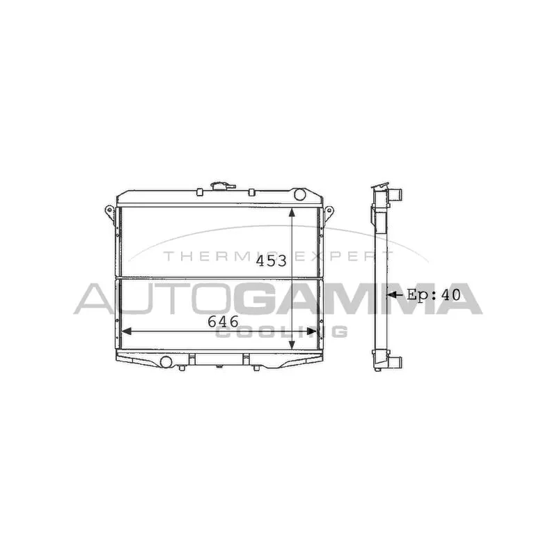 Radiateur, refroidissement du moteur AUTOGAMMA 101128