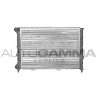 Radiateur, refroidissement du moteur AUTOGAMMA 101142