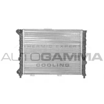 Radiateur, refroidissement du moteur AUTOGAMMA 101143