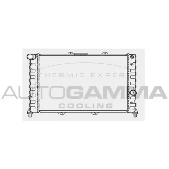 Radiateur, refroidissement du moteur AUTOGAMMA 101145