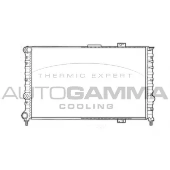 Radiateur, refroidissement du moteur AUTOGAMMA 101148