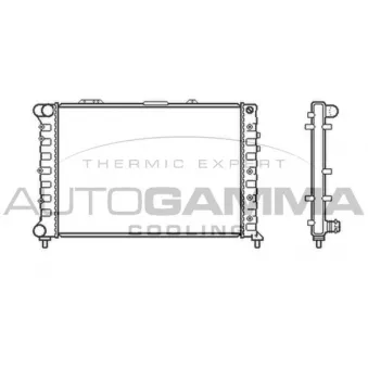 Radiateur, refroidissement du moteur AUTOGAMMA 101149