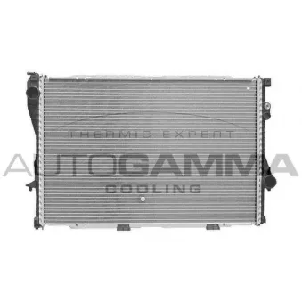 Radiateur, refroidissement du moteur AUTOGAMMA 101156
