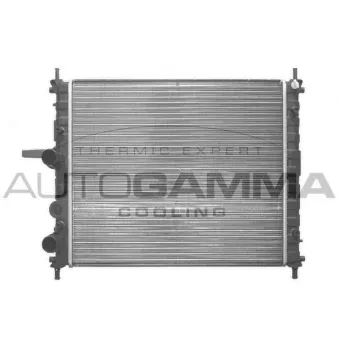Radiateur, refroidissement du moteur AUTOGAMMA 101186