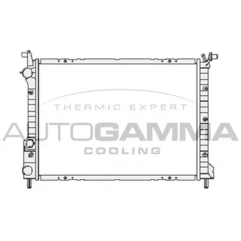 Radiateur, refroidissement du moteur AUTOGAMMA 101191