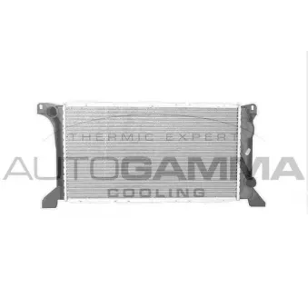 Radiateur, refroidissement du moteur AUTOGAMMA 101200