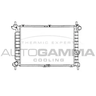 Radiateur, refroidissement du moteur AUTOGAMMA 101224