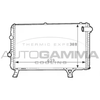 Radiateur, refroidissement du moteur AUTOGAMMA 101235