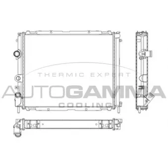 Radiateur, refroidissement du moteur AUTOGAMMA 101242