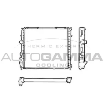 Radiateur, refroidissement du moteur AUTOGAMMA 101246