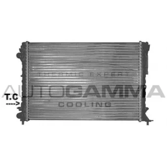 Radiateur, refroidissement du moteur AUTOGAMMA 101247