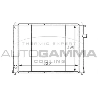 Radiateur, refroidissement du moteur AUTOGAMMA 101254