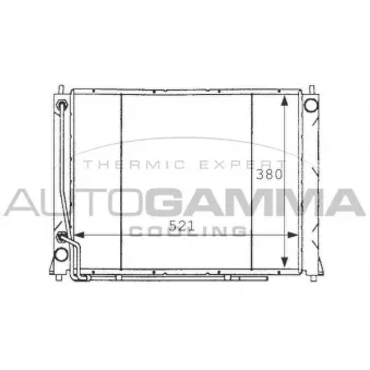 Radiateur, refroidissement du moteur AUTOGAMMA 101256