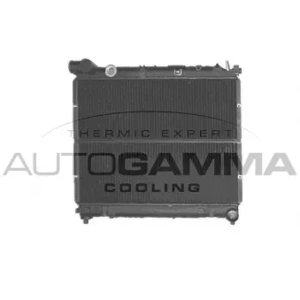 Radiateur, refroidissement du moteur AUTOGAMMA 101265
