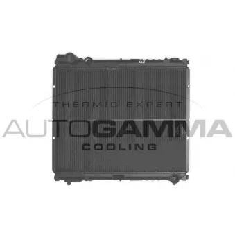 Radiateur, refroidissement du moteur AUTOGAMMA 101267