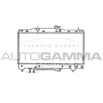 Radiateur, refroidissement du moteur AUTOGAMMA 101269