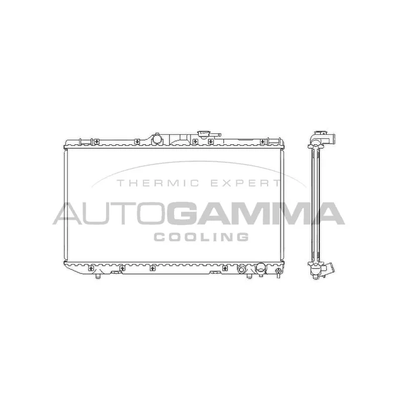 Radiateur, refroidissement du moteur AUTOGAMMA 101271