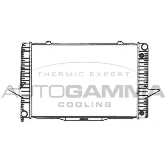 Radiateur, refroidissement du moteur AUTOGAMMA 101292