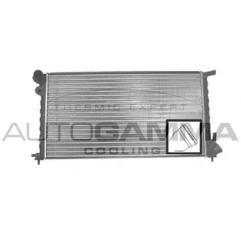 Radiateur, refroidissement du moteur AUTOGAMMA 101306