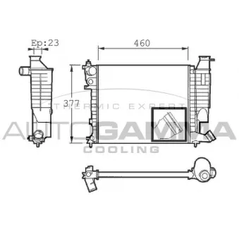 Radiateur, refroidissement du moteur AUTOGAMMA 101310