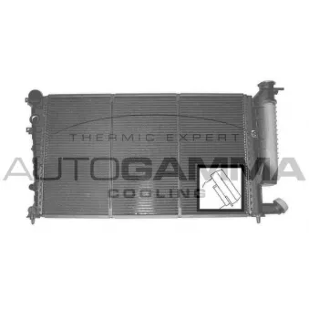 Radiateur, refroidissement du moteur AUTOGAMMA 101313