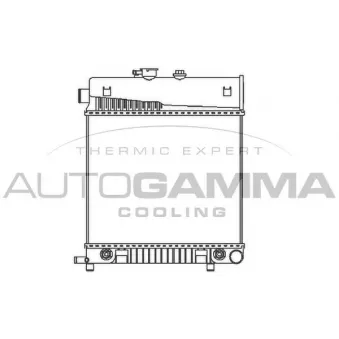Radiateur, refroidissement du moteur AUTOGAMMA 101315