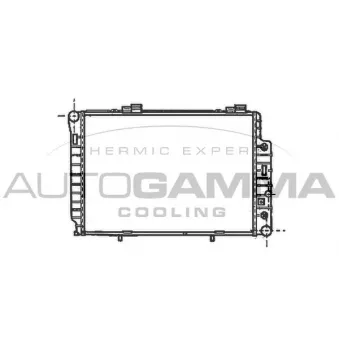 Radiateur, refroidissement du moteur AUTOGAMMA 101316