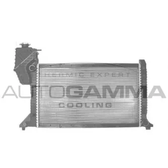 Radiateur, refroidissement du moteur AUTOGAMMA 101324